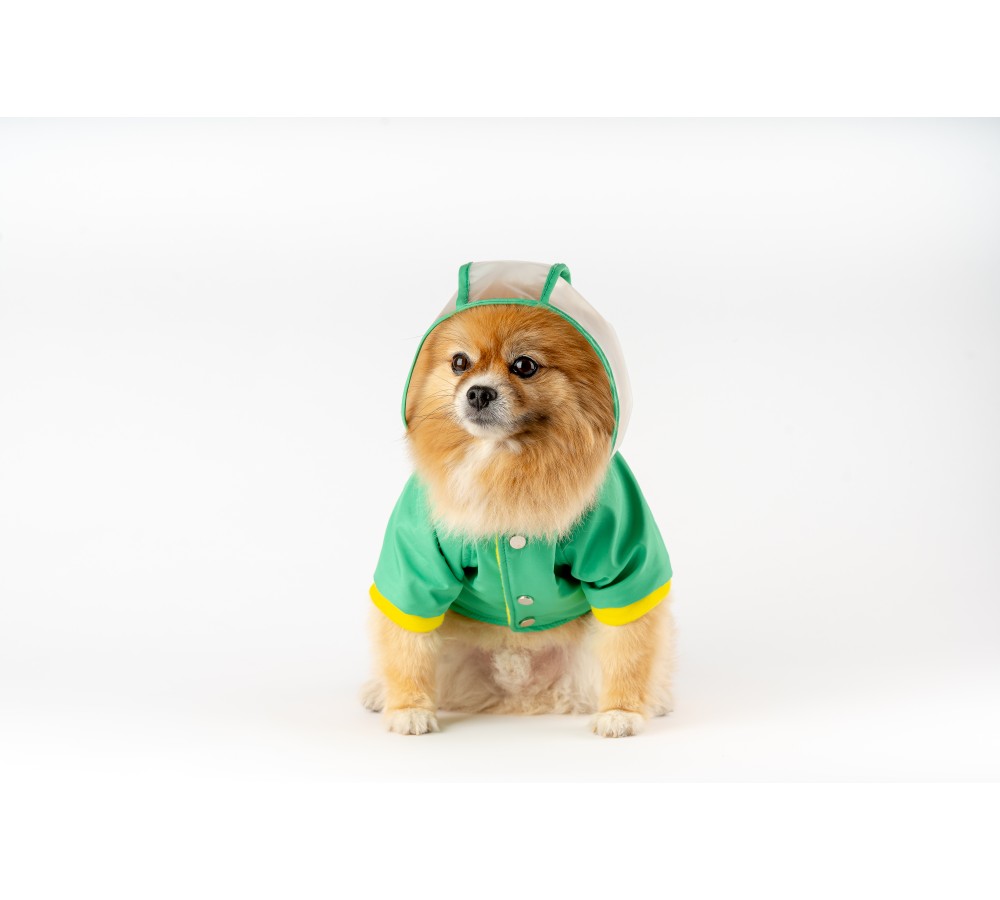 ŞEFFAF KAPÜŞONLU YAĞMURLUK YEŞİL